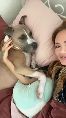 But he’s the best dog in the world. Pitties or Pitt bulls are my favorite breed :) He’s the one who made me a dog mom #dogsoftiktok #dog #pittiesoftiktok #pitties #pittbull 