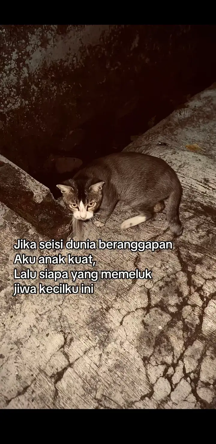 #foryoupage #katakata #4u #xybca #fyp 