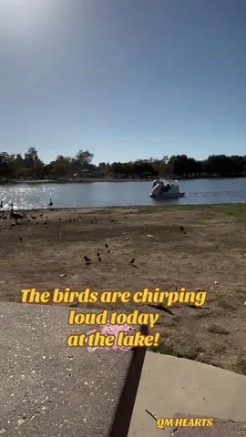 #fyp #fypシ゚viral #lakebalboa #lake 