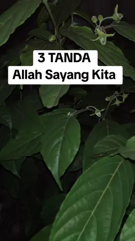 #Quotes #motivasi #do 'a
