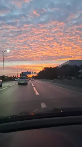 #🇩🇿🇲🇦🇹🇳 #شعب_الصيني_ماله_حل😂😂 #cap #algeria #france🇫🇷 