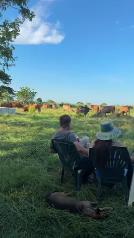 Esta es la verdadera Felicidad 🌱🐄#ganaderia #campo #agropecuaria #ganado 