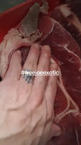 #freetinger #freepardonjoeexotic #todosseguidores 