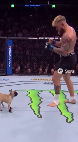 #puppy #jakepaul #UFC #ai #fyp 