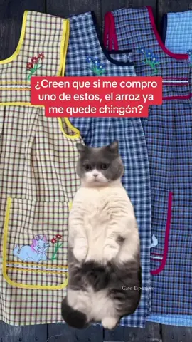 #paratii #Meme #gatostiktok #gatoesponjoso 