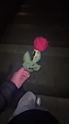 #منبج #فيينا_النمسا🇦🇹 #💔 #💔 #🥹💔 