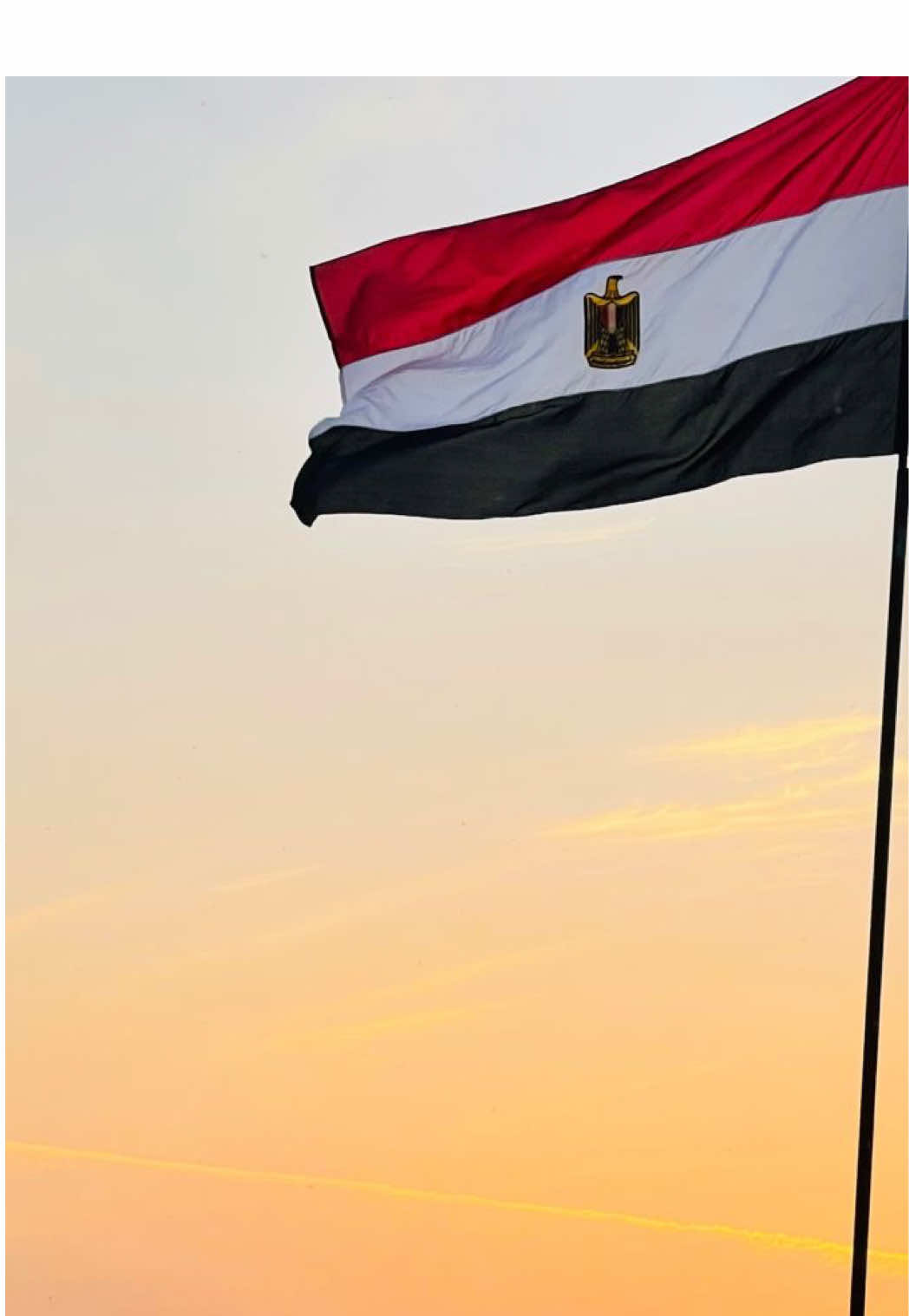 تحيا مصر 🇪🇬 #تحيا_مصر🇪🇬🇪🇬🇪🇬🇪🇬🇪🇬✌️❤️✌️    #egypt🇪🇬  #🇪🇬🇪🇬🇪🇬🇪🇬🇪🇬🇪🇬🇪🇬  #🇪🇬❤️ 