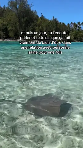 just the peace that everyone needs 💆🏻‍♀️ #foryou #peace #Love 