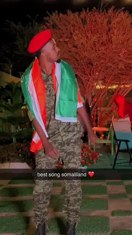 best song somaliland #viral_video #viral_video_tiktok_treding #somalitiktok #abdirahmanisteey #fyp 