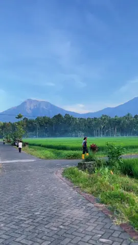Masyallah, suejuk banget lurr Ada yang tau ini di banyuwangi bagian mana? • • • #banyuwangi #banyuwangihits #jawatimur #fyppppppppppppppppppppppp #masukberanda 