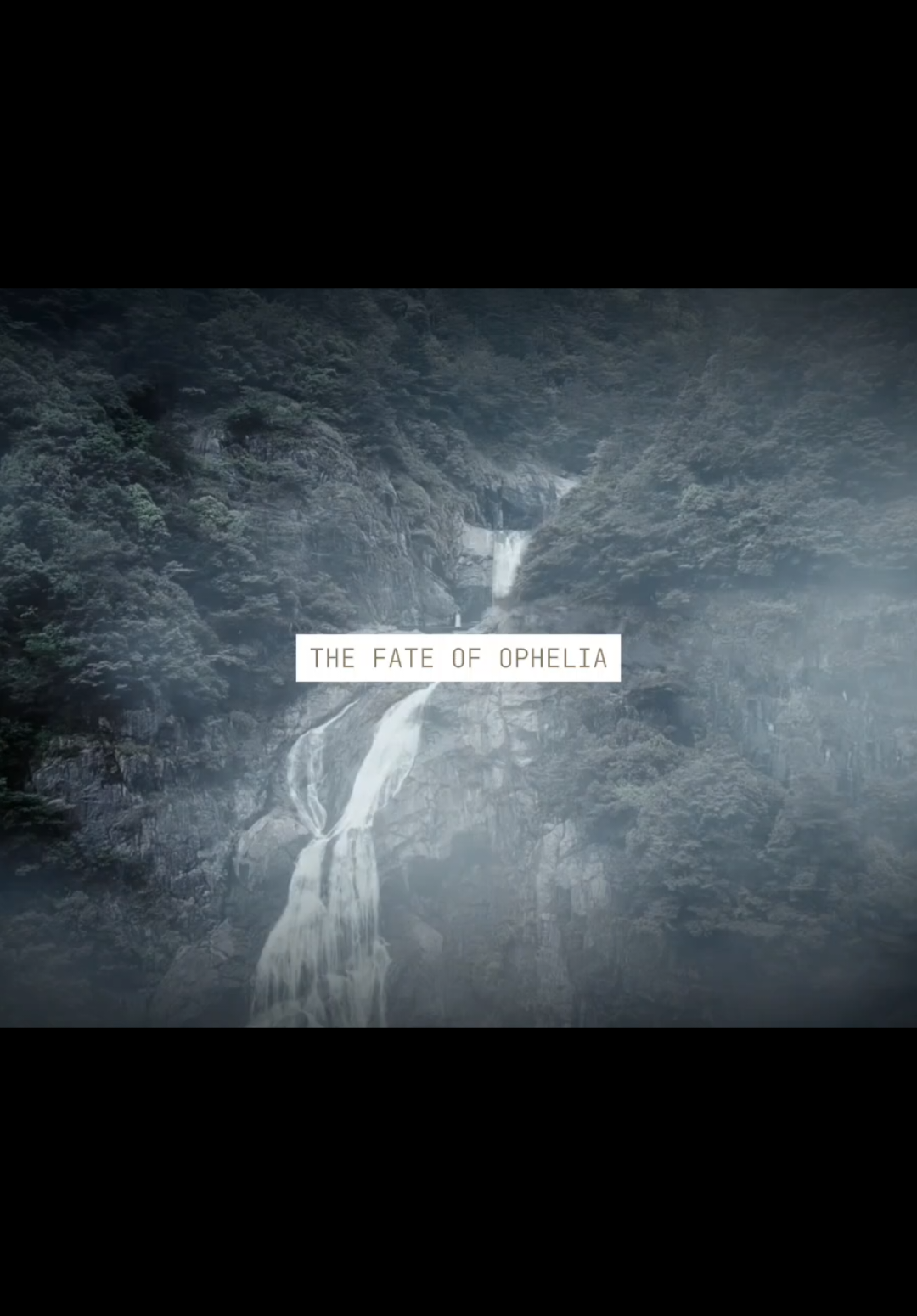 Respuesta a @reisbruh Wei Wuxian fue quien murió, pero Lan Wangji fue quien vivió en el purgatorio. #theuntamed #wangxian #weiwuxian #hanguangjun #thelifeofashowgirl 