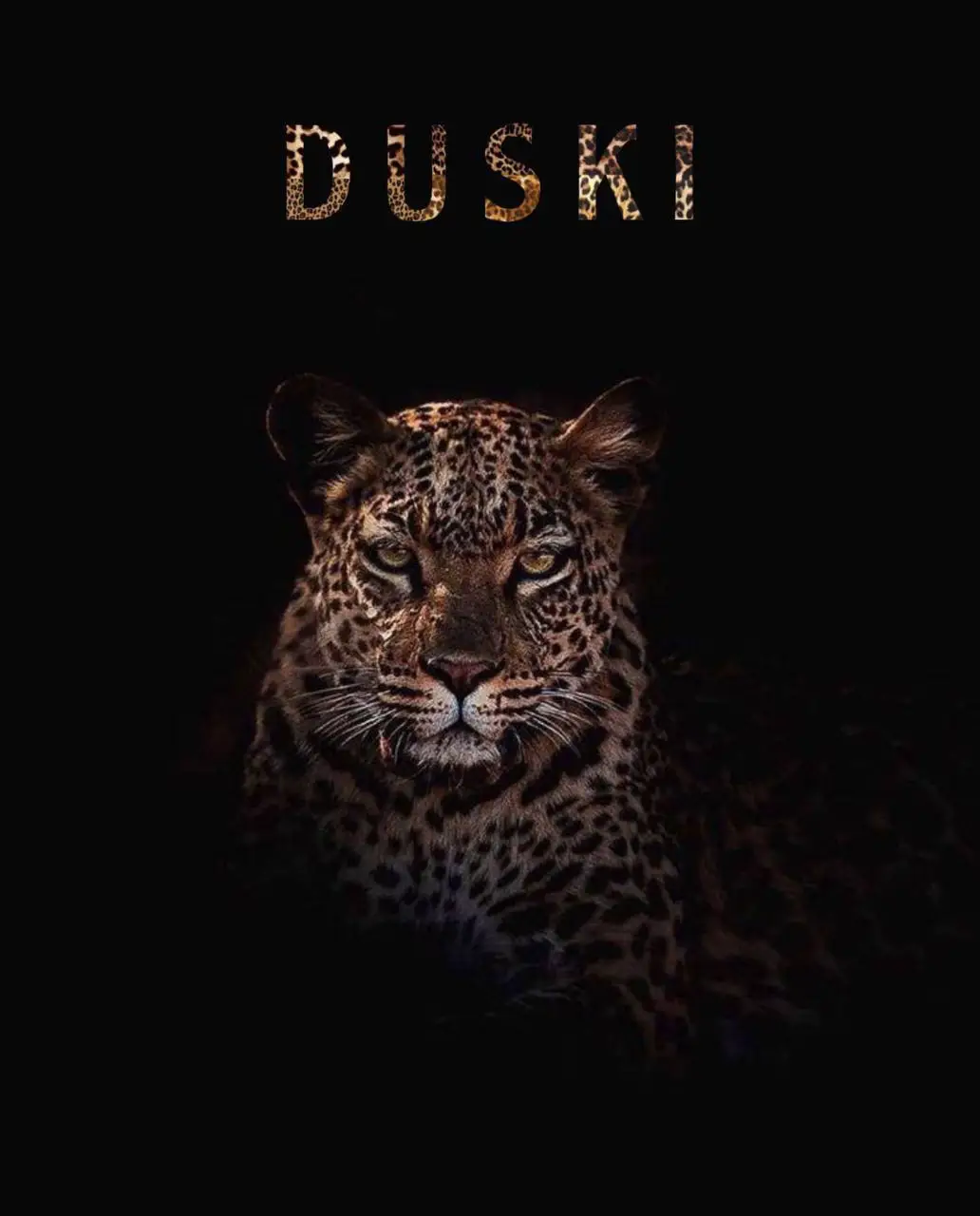 #tiktok #tiger #fyppppppppppppppppppppppp #fypage #duhok_zaxo_amedi_semel_akre 