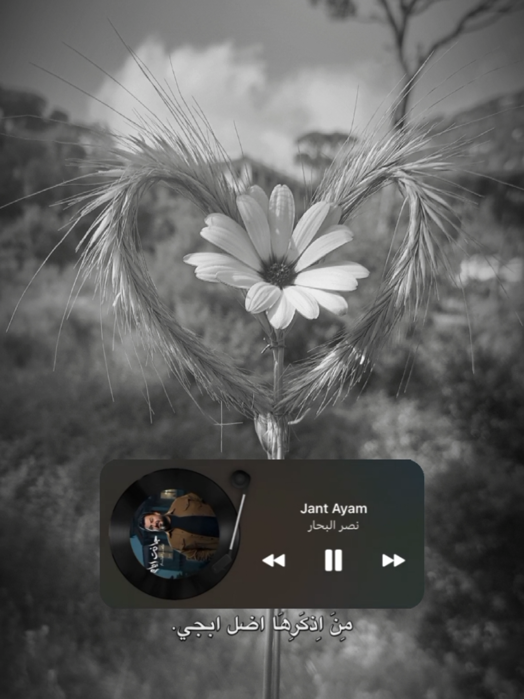 #CapCut احلا سنين من عمري🖤 #نصر_البحار #احلا_سنين #اكسبلور #lavendr81 