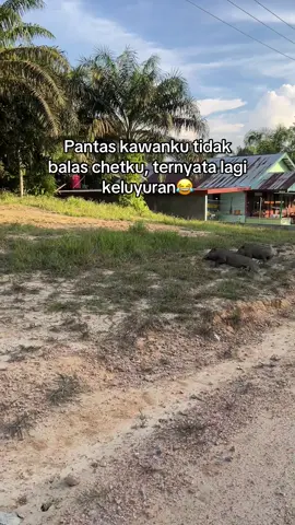 jangan luat sampe akhir #fypシ゚ #justkonten #lewatberandamu #pejuangalgoritmatiktok 