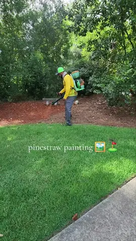 painting pinestraw ⛳️  #foryou #foryoupage #trendingvideo #lawncare #painting 