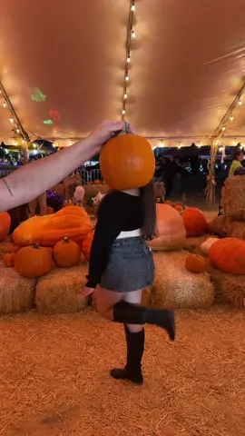 pumpkin patch w/ my pumpkin pies 🥧 #pumpkinpatch #fyp #girlsnight 