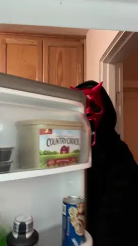 Be nice it’s my first time editing #trend #coseplay #ghostface 