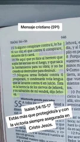 Mensaje cristiano (591) #mensajescristianos #palabradedios #diosteama #cristianostiktok #biblia 