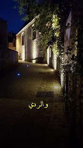 من اقوال محمد المقحم :-سبحان الله يا الفرق بين الطيب والردي الطيب يصل الاجناب .. #تصميم_فيديوهات🎶🎤🎬 