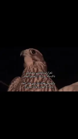 #بخيت_بن_جابر #الخرج #اكسبلور؟ 