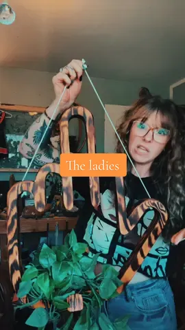 What do you think of my ladies?