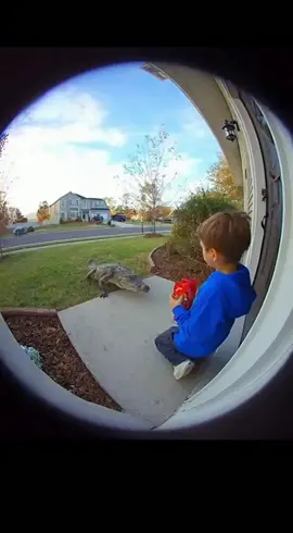 Dog saves kid from crocodile #viral #fyp #ai 