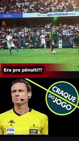 #palmeiras #saopaulo #polemica 