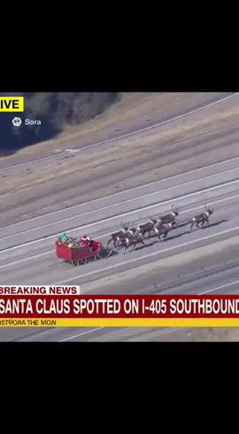 Looks like Santa on the naughty list this year 😪🫩 #sora #ai #police #cops #funnyai 