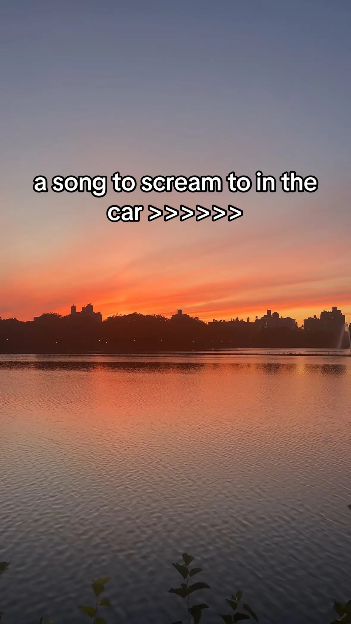 in bio #independentartist #indiepop #sabrinacarpenter #conangray #sombr 