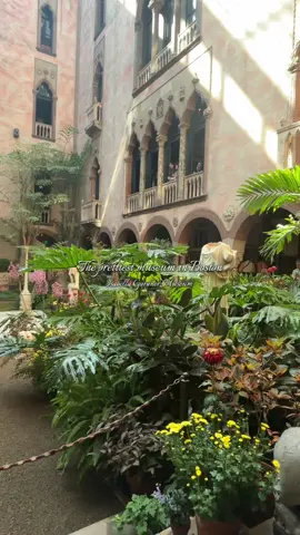 A Go-To if your visiting Boston!  📍Isabella Gardner Museum  - - - - #boston #bostonthingstodo #museum #isabellagardnermuseum #bostontiktok 