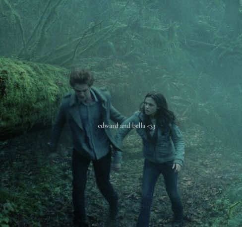 this line <33 ⏔⏔⏔ ꒰ ᧔ෆ᧓ ꒱ ⏔⏔⏔ #twilight #twilightedit #newmoon #bellaswan #fyp