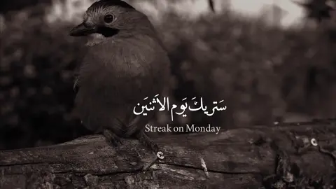 يا الله يا ارحم الراحمين#سهل_امرنا_وفرج_كربنا #دعاء_عظيم #دعاء_يوم_الاثنين #يارب 