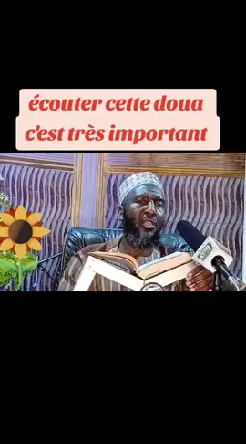 #creatorsearchinsights   a doua