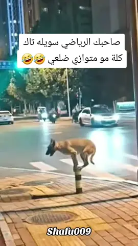 #شعب_الصيني_ماله_حل😂😂  #الشعب_الصيني_ماله_حل😂✌️  #شعب_الصيني_ماله_حل  #مشاهير_تيك_توك  #تحشيش 