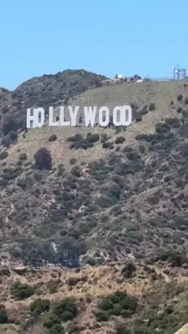 DON'T CHASE, ATTRACT #dontchase #attract #energy #kindnessmatters #consistency 