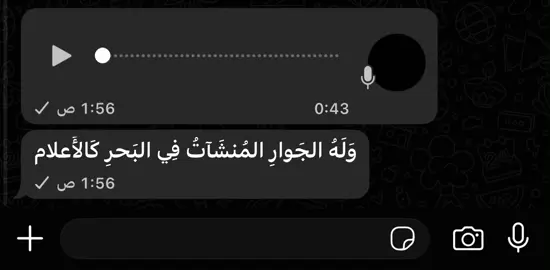 سبحان الله وبحمده , سبحان الله العظيم 🩶 القارئ #عبدالله_سعيد  #قران 