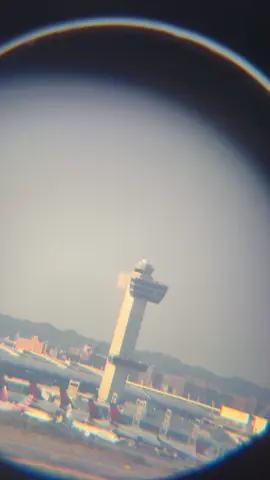 What do you think it looks like?