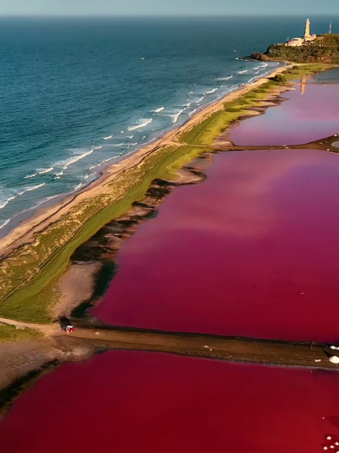 En el corazón del estado Falcón existe un lugar donde el cielo se refleja sobre un espejo rosado. 🌅 Las Salinas de Las Cumaraguas son uno de los paisajes más hipnóticos de Venezuela, un sitio que muchos comparan con el Salar de Uyuni en Bolivia, pero con un toque mágico: sus aguas cambian de color con la luz del sol. 💫 Dicen que bajo ese manto de sal vive el espíritu del mar, guardián de los flamencos que sobrevuelan este rincón árido y misterioso. ¿Caminarías sobre el espejo rosado de Venezuela? #Venezuela #viral #creatorsearchinsights #historia #parati #usa #Naturaleza