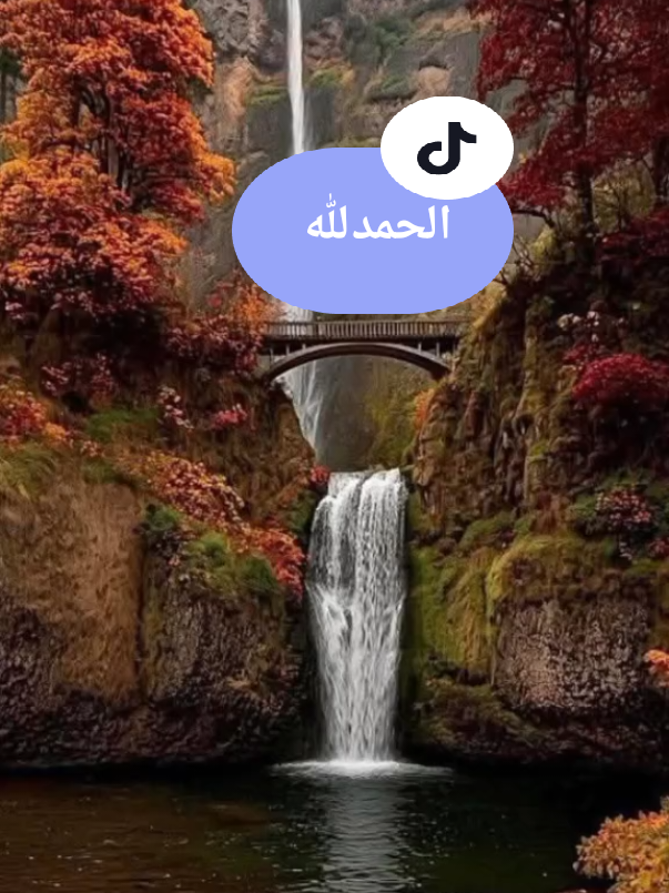 #اللهم_صلي_على_نبينا_محمد #الله #القران_الكريم #القران_الكريم_راحه_نفسية #الحمدلله_دائماً_وابداً 