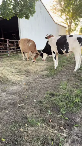 I love these two 🥰