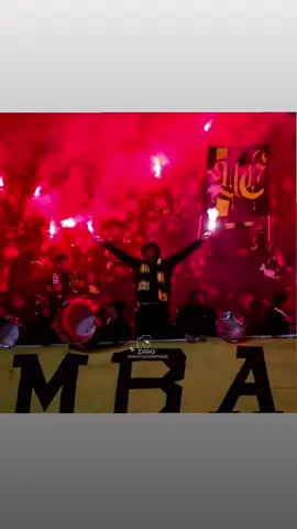 #ultra_combattiva #harrach💛🖤 #usmh 