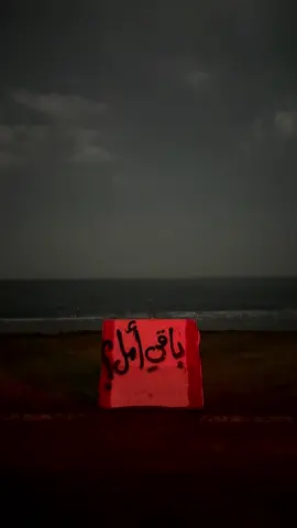 باقي امل؟#هواجيس #قمرا #explore 