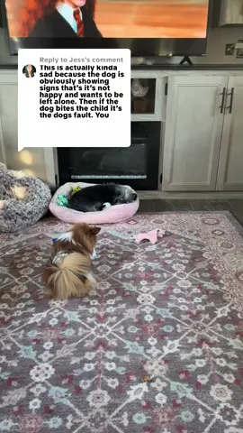 Replying to @Jess when the dog showed he had enough I moved her away!! I’m not an idiot and I’m also a responsible pet owner as well as a mamaw 🥸 don’t assume that you know anything about my parenting or lack there of .. also rebel has lived a long 15 years and he was my kids childhood dog now he is working on my 2 grandchildren he’s never bit because I respect his feelings #fyp #pet #kids 