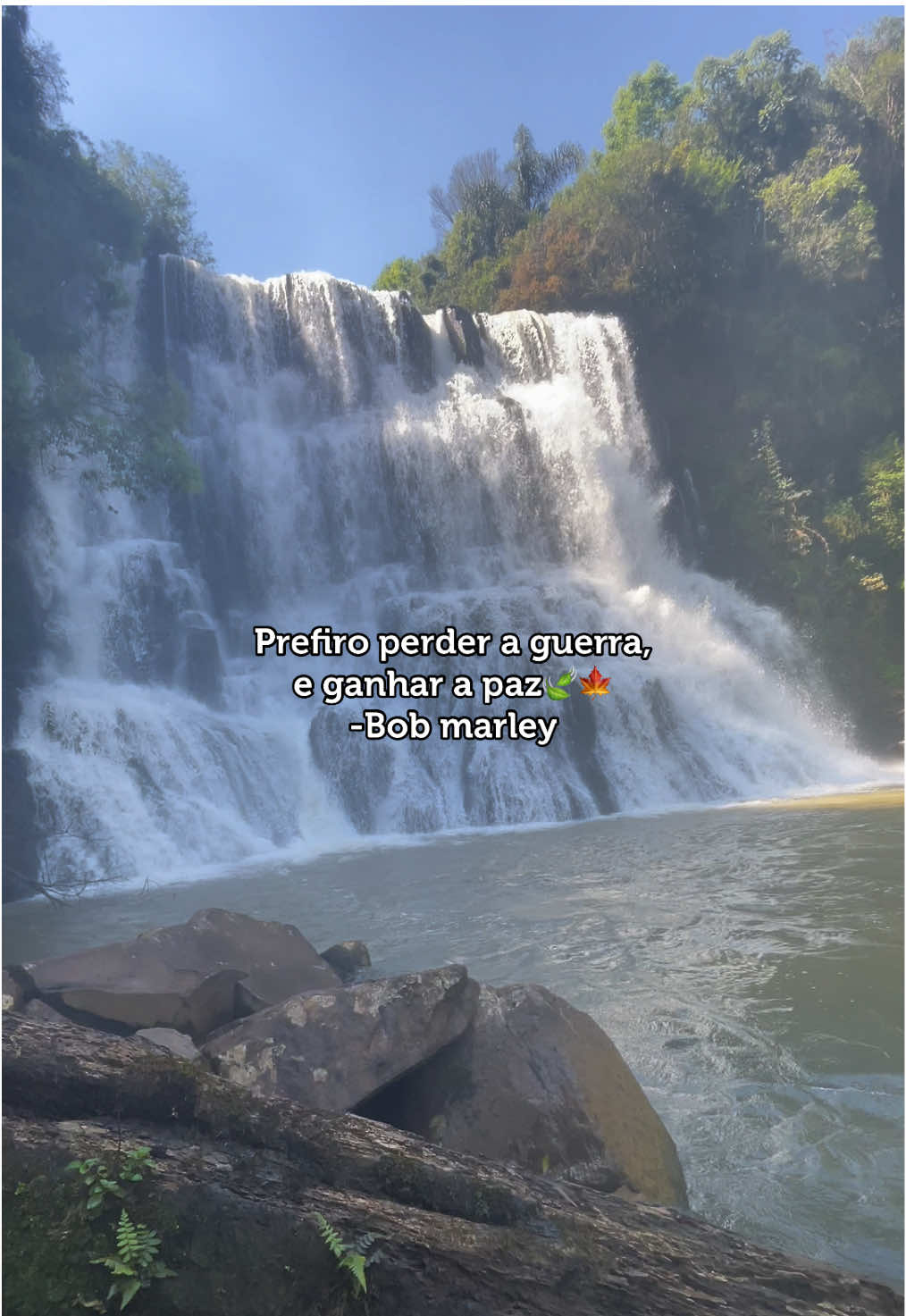 🍃💆🏼‍♂️ . . . . . . . . #bobmarley #paz #cachoeira #guerra #🍃 