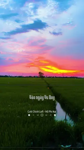 Cưới Chính Lofi - Hồ Phi Nal...#ctmedia #lofibathu #cuoichinh #nal #cuoichinhlofi #cuoichinhnal #cuoichinhspeedup #nguyeenlofi