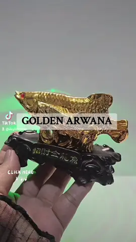 Golden Arwana #luckycharm #homedecor 