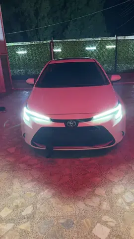 #تصويري #كورلا #fyp #ماشاالله__تبارك_الله_ #الشعب_الصيني_ماله_حل😂😂  