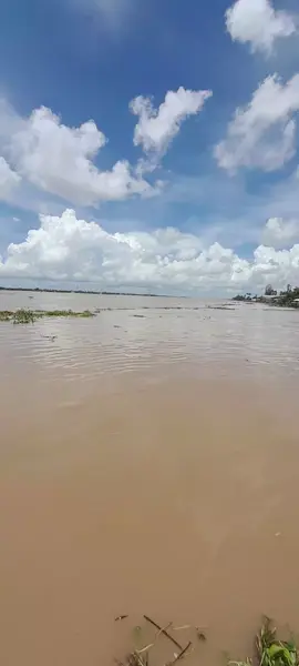 Quán sát rõ sự thật
