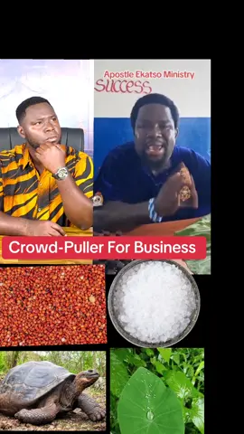 #creatorsearchinsights #fyp #viral #highspiritgh #TikTokTrends 