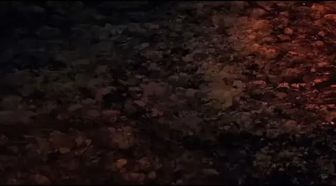 #demonslayerinfinitycastlearc #anime #demonslayer #infinitycastle #animeedit 